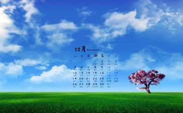 12月份个人总结7篇