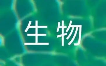 八上生物工作计划模板7篇