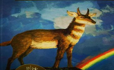 《斑羚飞渡》的读后感500字5篇