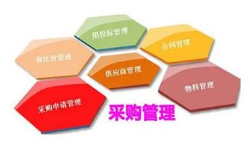 2024年采购半年总结7篇