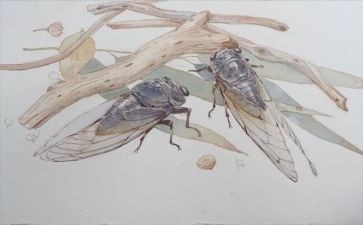 幼儿园小班蝉教案参考8篇