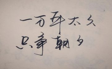 我只争朝夕的演讲稿6篇