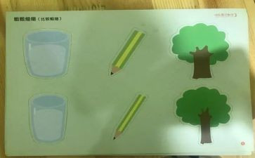 比较粗细教案中班教案6篇