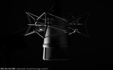 发言稿和讲话稿7篇