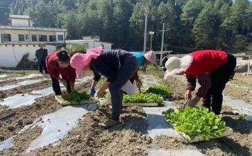 五金的购销合同优秀6篇