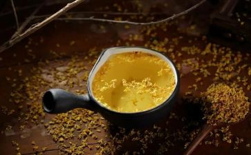 桂花魂作文优秀6篇