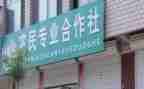 合作社签合同优质6篇
