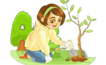 环保教案优质6篇