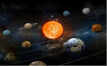 鱼的幻想读后感5篇