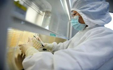 检验公司工作总结5篇