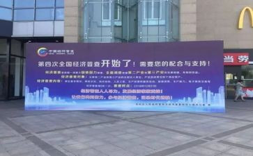 做好乡镇经普工作总结范文6篇