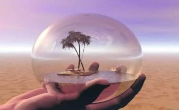 绝境狼王的读后感6篇