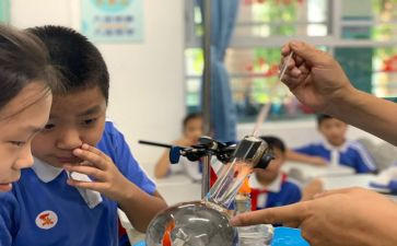 幼儿园科学课教案模板8篇