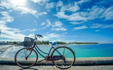 我的慢生活作文通用6篇