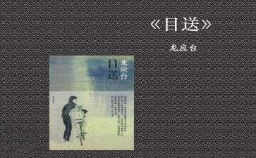 龙应台的《目送》读后感5篇