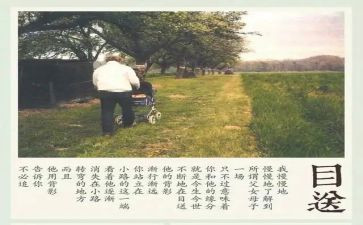 《目送》读后感8篇