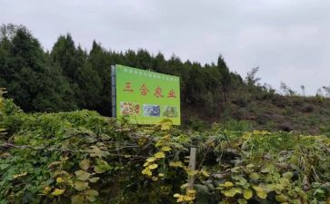 农产品代理合同模板5篇