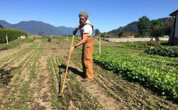 农夫和羊的读后感5篇