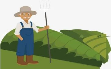 农夫和羊的读后感最新7篇