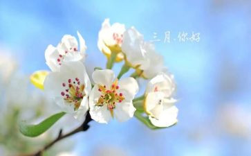 2023三月份工作计划6篇