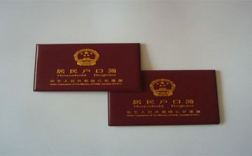孩子上户申请书6篇