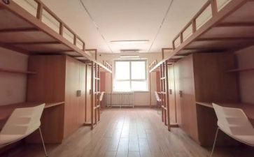 2024年宿舍管理员工作总结8篇