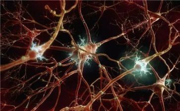 2024神经内科述职报告范文5篇