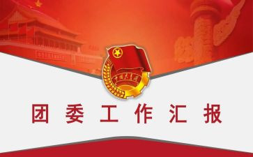 乡团委工作报告6篇