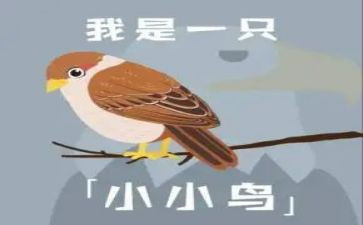 小小鸟音乐教案7篇