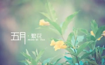 幼儿五月工作计划5篇