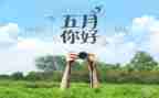 五月活动方案7篇