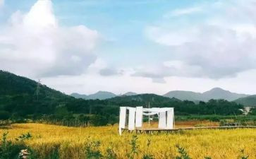 享受阅读的作文5篇