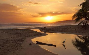 骆驼的祥子读后感作文7篇