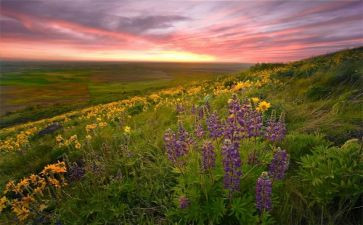 汉修先生亲爱的汉修先生读后感通用8篇