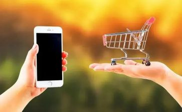 2024年消费者调研报告7篇