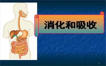 消化内科的个人总结7篇