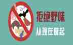 野味演讲稿7篇
