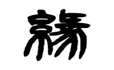 《海洋奇缘》观后感8篇