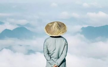 智的读后感参考7篇